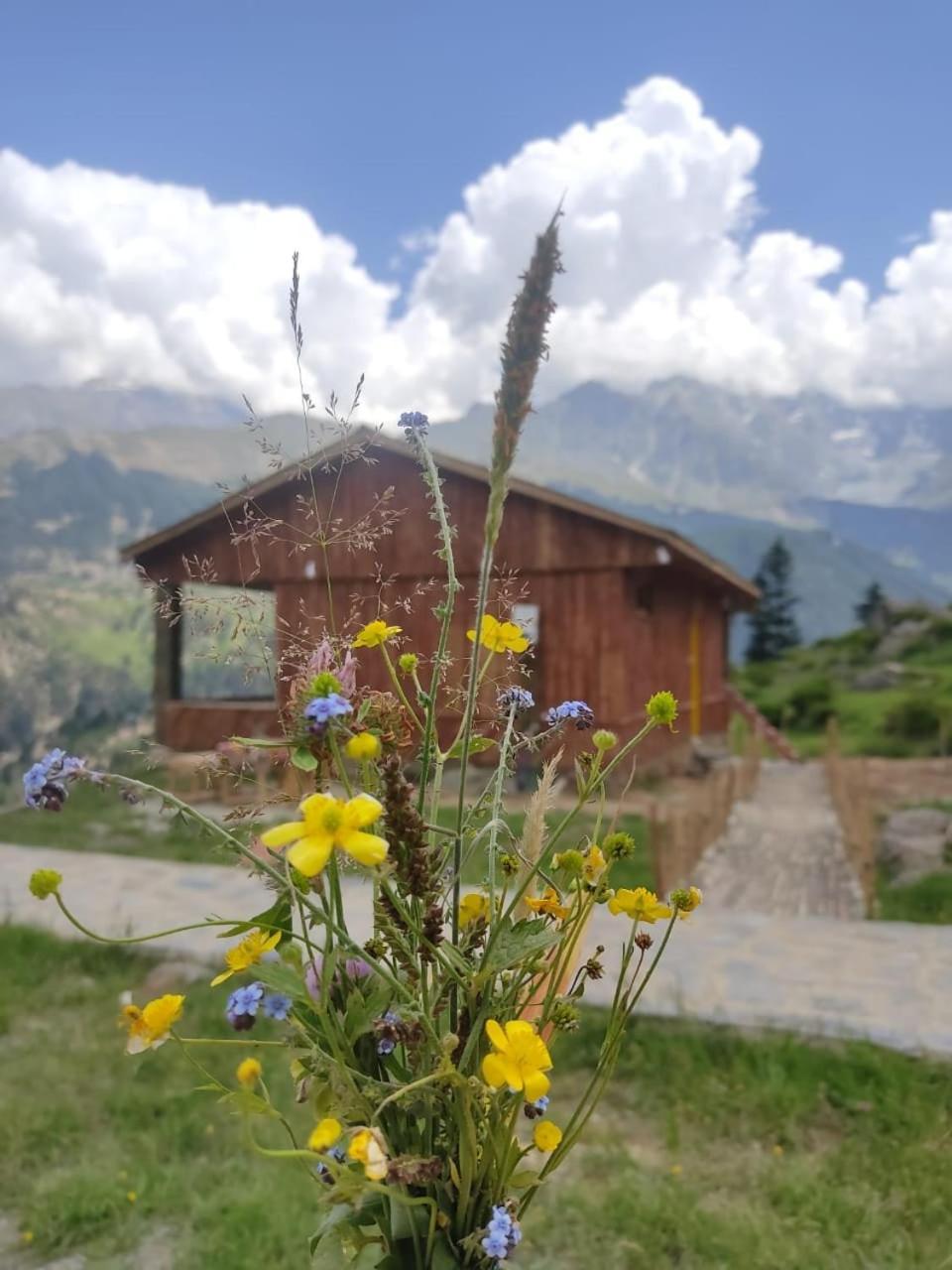 Khana Badosh Resort Kalam Buitenkant foto